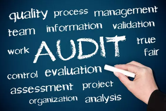 audit-4-768x516